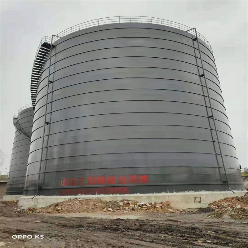 武定3万吨大型钢板库