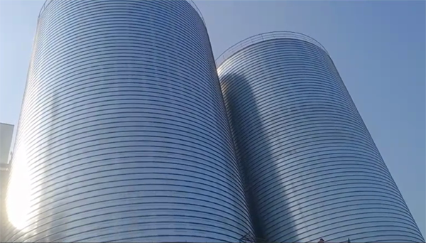 武定2座混凝土高架卷板仓